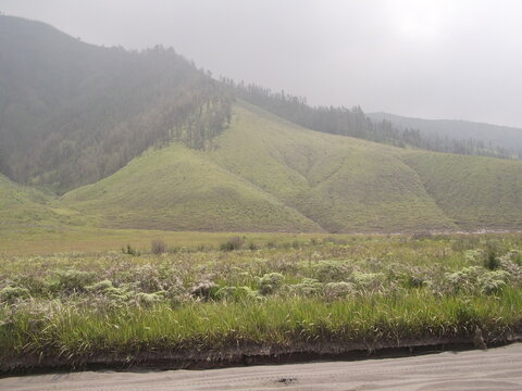 Scenic landscape of the green Teletubbies Hill savanna at Mount Bromo with lush grassy meadows, hazy misty sky, and rolling hills in East Java, Indonesia.