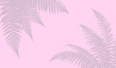 Fern leaf shadows on a soft pink background © Imran