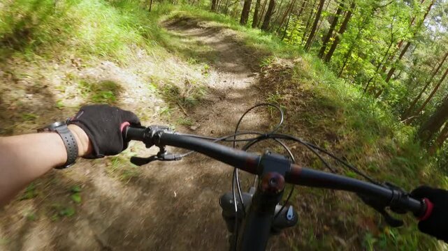 POV Of Cyclist Riding Mountain Bike On Dirt Trail In Summer Forest