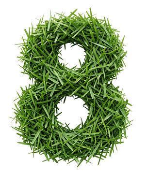 Number 8 formed from fresh green grass blades on a transparent background PNG Isolated on transparent background