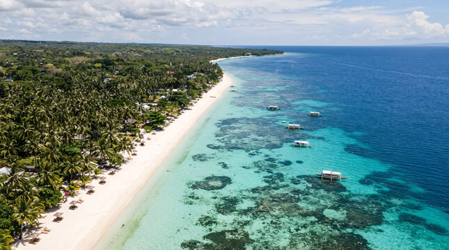  Sweeping aerial view of a tropical white sand coastline, turquoise coral reef waters, coconut forest, and outrigger boats along Bohol, Philippines.