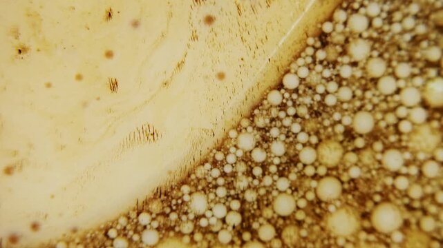 Macro shot of paint interacting in liquid with ferrofluid residues, forming textured patterns and microstructures in a dark viscous medium.