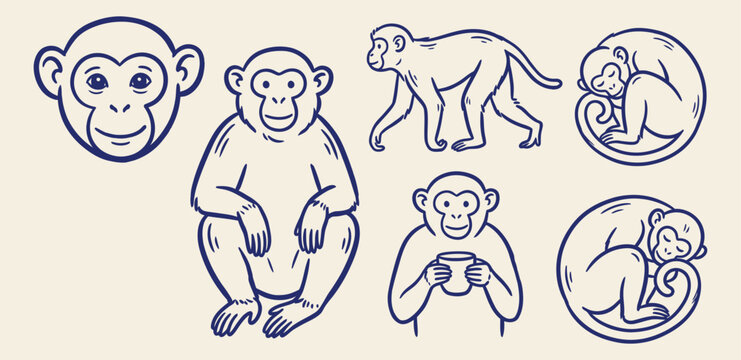 Set of blue hand drawn monkeys and chimpanzees in various poses on a light background
