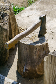 Woodcutting axe embedded in tree stump