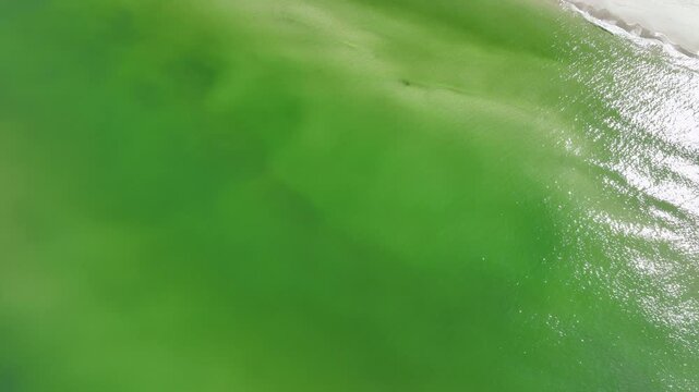 A highangle aerial shot showing the contrast between vibrant green sea water and a white sandy beach in Osetnik, Poland. Ideal for environmental and travel content.