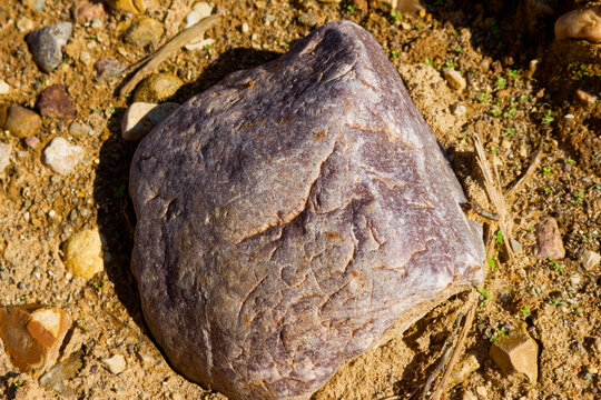 Massive raw quartzite boulder on quarry ground, chunky purple stone chunk ready for lapidary craft hobbyist, rugged mineral rock surface