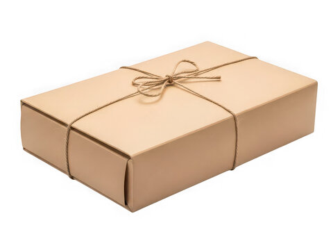 Brown cardboard box tied with string isolated on transparent background