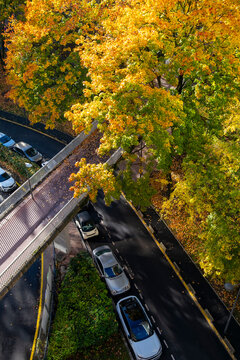 A high angle view shows cars along a road beneath yellow autumn trees in La Defense in Paris France combining seasonal foliage with everyday urban mobility