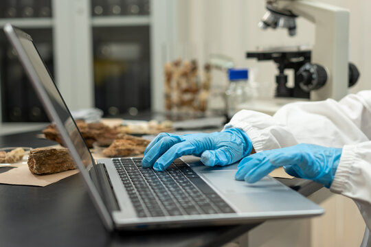 Food scientist wearing blue gloves uses a laptop beside sample trays and a microscope in a laboratory, showing research, testing and quality control.