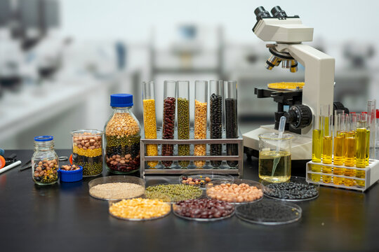 Laboratory microscope with test tubes, jars and dishes of colorful grains, beans and seeds for food quality research and agricultural analysis.