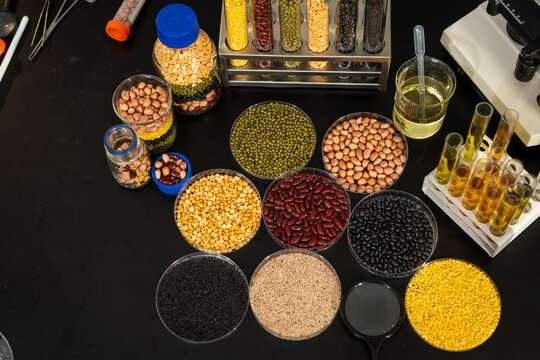 Top view of assorted beans, lentils, grains, seeds and cooking oils in bowls and laboratory glassware on a black table, showing food research and nutrition.