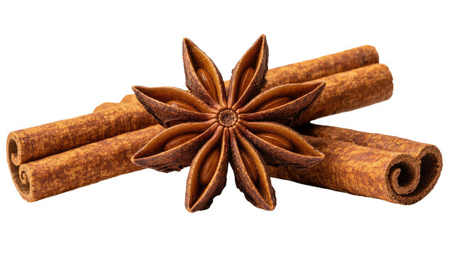 Brown star anise spice with two cinnamon sticks, isolated on transparent background