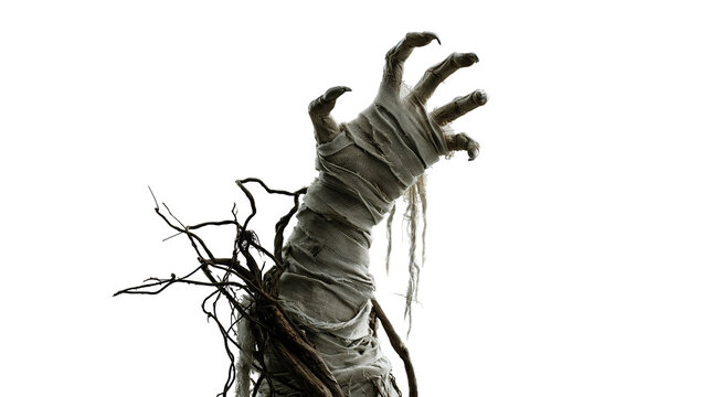 Bandaged mummy hand reaching up with tangled dark tree roots and sharp claws