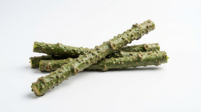 Fresh Green Tinospora Cordifolia Stems For Health And Wellness