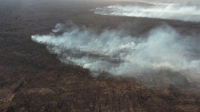 Panoramic view of fires burning and deforesting the rainforest for the agricultural industry.