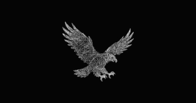 Sketch great eagle icon animation - smooth progressive reveal