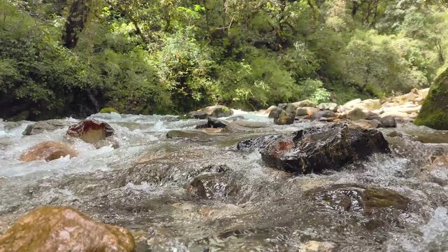 Mountain Stream Beyond Ranakdhar on Trail to Bedni Bugyal in Uttarakhand Himalayas