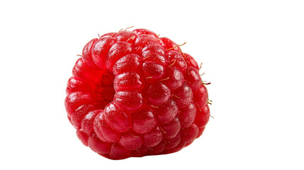 Single fresh ripe red raspberry fruit with textured surface © Alaric
