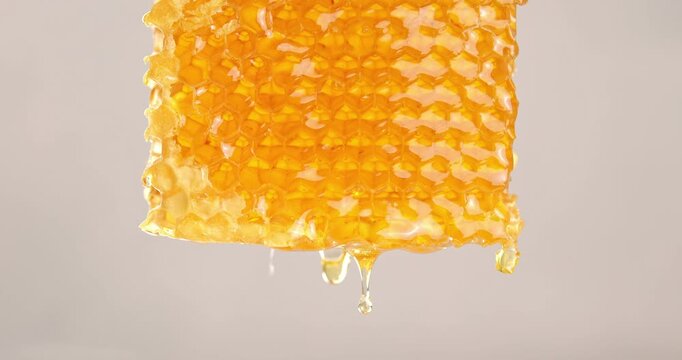 Honey flows through honeycombs and drips. Close-up video of a piece of honeycomb.