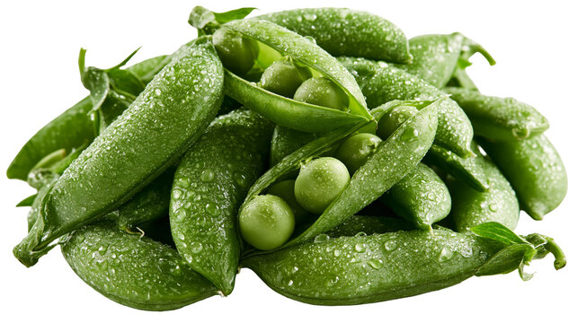 Fresh green pea pods with water droplets and open shells showing round peas