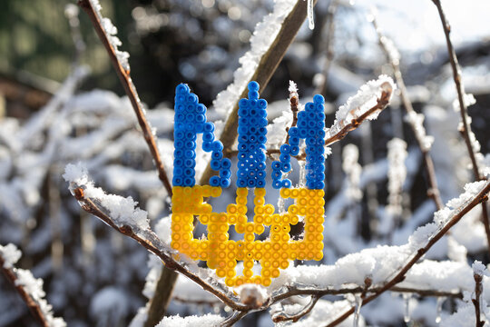 blue-and-yellow Ukrainian trident on snow-covered, ice-coated tree branches