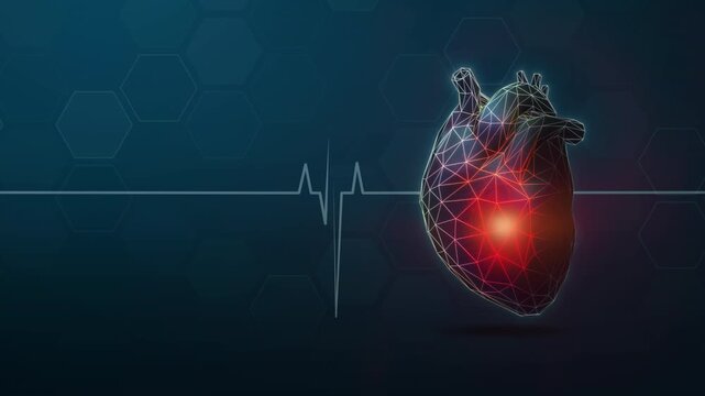 Futuristic 3d anatomical heart rotating with glowing red pain point