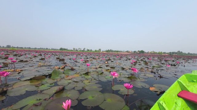 Take a scenic boat ride at Thung Bua Daeng, Bueng Lahan, Chaiyaphum, Thailand.