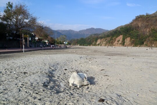 インド　リシュケシ　ガンジス川の風景