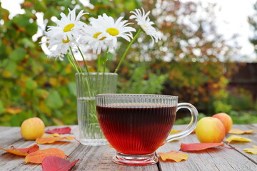 On a wooden table in the autumn garden, amidst the foliage and apples, next to a vase of daisies, stands a glass mug of hot tea.  © vubaz