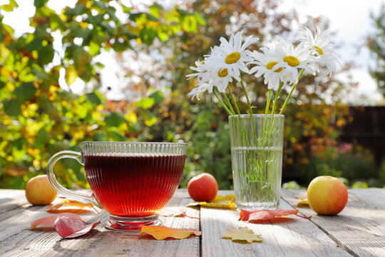 On a wooden table in the autumn garden, amidst the foliage and apples, next to a vase of daisies, stands a glass mug of hot tea. 