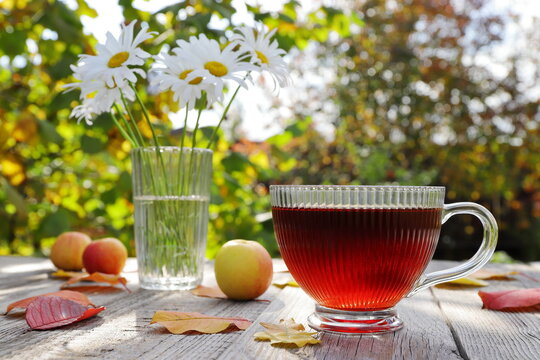 On a wooden table in the autumn garden, amidst the foliage and apples, next to a vase of daisies, stands a glass mug of hot tea. 