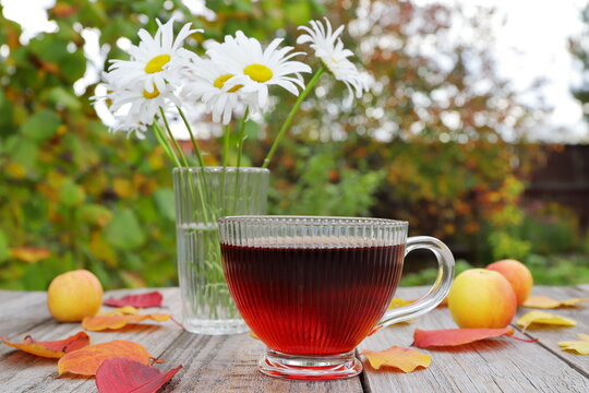 On a wooden table in the autumn garden, amidst the foliage and apples, next to a vase of daisies, stands a glass mug of hot tea. 
