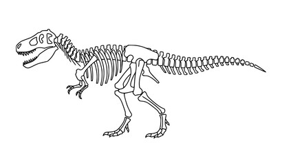 Graphic Tyrannosaurus Rex Fossil Dinosaur Skeleton Black Vector Illustration © MDNOYON