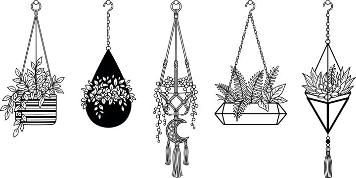 Hand drawn vector collection of indoor hanging house plants in pots and macrame plant hangers