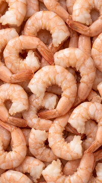 Close up top down view of cooked peeled canned prawns pattern