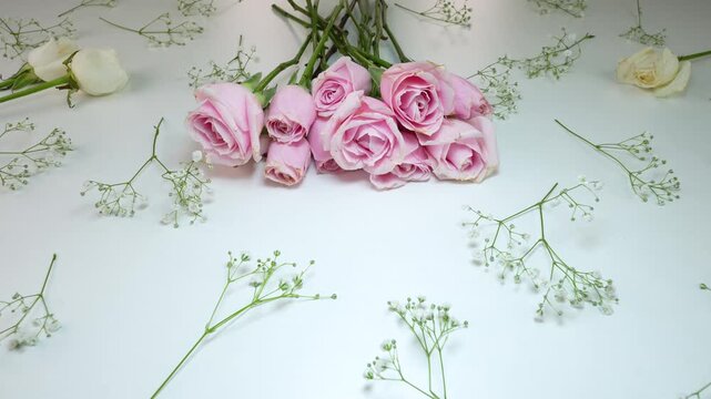 Pink rose flowers on a white background.