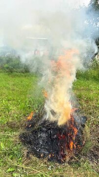 Pile of dry grass and brush burning in a grassy field, producing thick white smoke and orange flames. outdoor fire, smoke plume, garden land clearing. Vertical video background