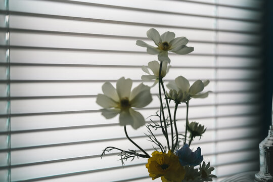 Bouquet of Colorful Flowers on a Window with Green Leaves, Blooming Floral Arrangement and Natural Spring Beauty for Home Decoration and Fresh Botanical Lifestyle Imagery