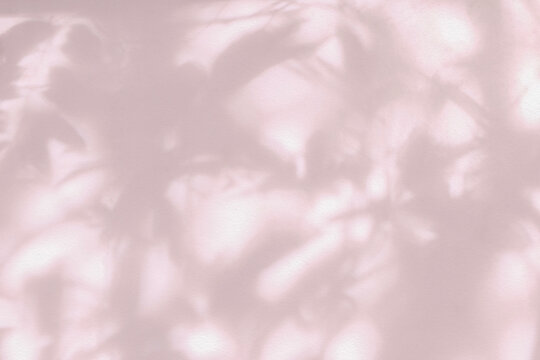 Leaf shadow and light on wall pink coral  background.Tropical leaves tree branch and plant shade.Sunlight from sunshine on wall texture for foliage mockup background wallpaper, shadow overlay effect