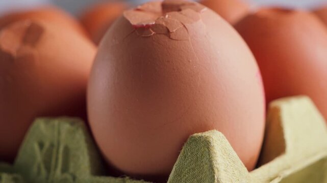 Close-up of a cracked brown egg resting in a carton, illustrating careless food handling and transportation concepts.
