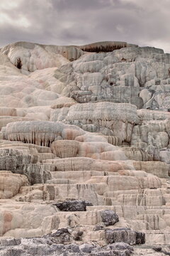 The Palette Spring runoff forms travertine shelves dyed in ochre-orange-white by thermophilic bacteria, Mammoth Hot Springs. Yellowstone NP-WY-USA-009