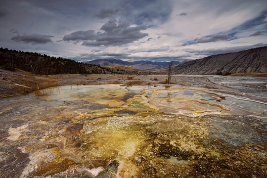Layered, algae-and-bacteria-colored upper pools of the dry (at the photo moment) Minerva Terrace in Mammoth Hot Springs, . Yellowstone NP-WY-USA-013