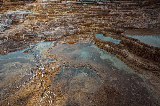Close-up image of the Mound and Jupiter Terraces, Mammoth Hot Springs= tiered, algae-and-bacteria-colored travertine pools. Yellowstone NP-WY-USA-020