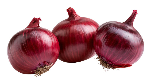 Three fresh whole red onions with papery skin and fibrous roots