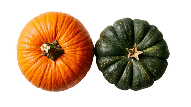 Round orange pumpkin and dark green ribbed kabocha squash side by side