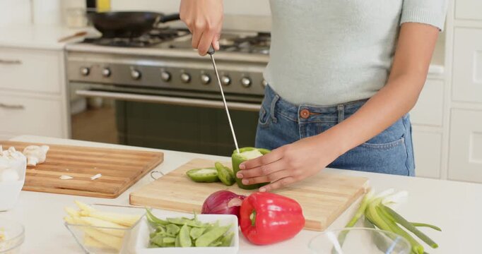 Lifestyle videos indoor of people doing activities at home, chopping green pepper on board, woman pr