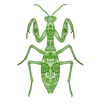 Intricate Green Lace Praying Mantis Silhouette with Floral Lace Pattern Isolated on Transparent Background PNG PNG Transparent