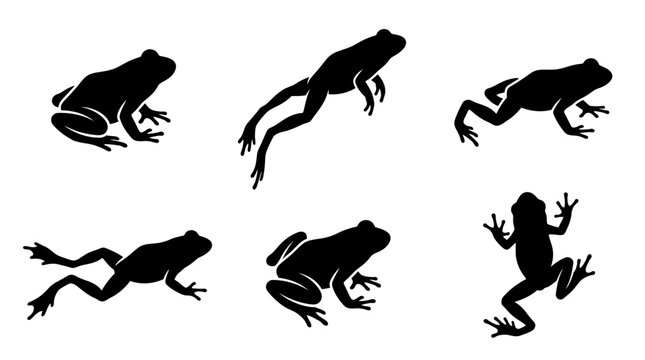 Set of vector of frog silhouettes showcasing varied movement and posture
