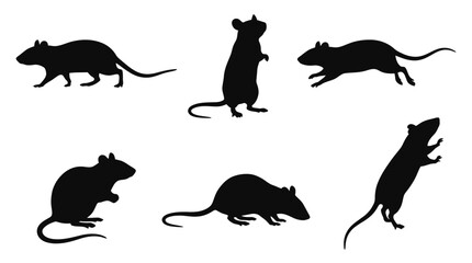 Obraz premium Vector of diverse rats in motion showing animal silhouettes on white background