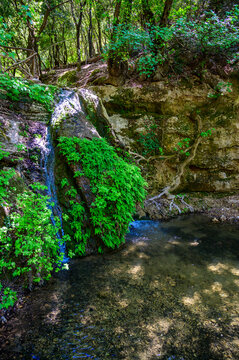 Greek Island Nature: River running through Butterfly Valley in Rhodes, Greece